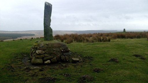 Thome Hill monument Just NNE of trig, as shown on 1:25,000 map. No inscription other than a date, which appears to be 1960.