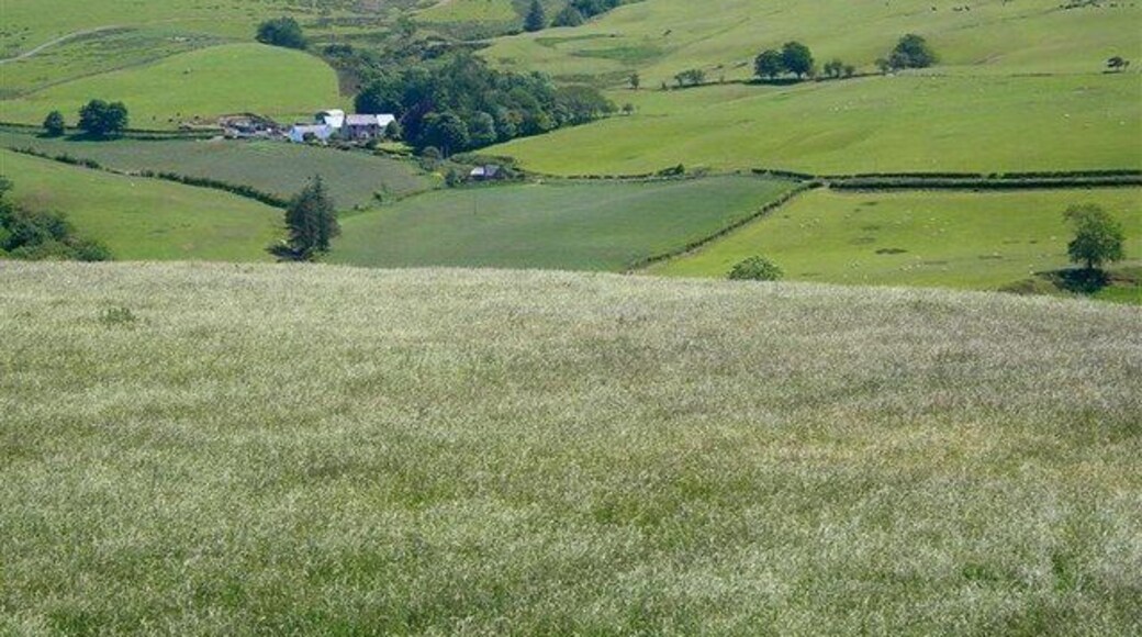 Towards Balligmorrie The farm in the background, in another square on the other side of the River Stinchar, is Balligmorrie. Viewed from the watershed between the Water of Assel and the Stinchar.