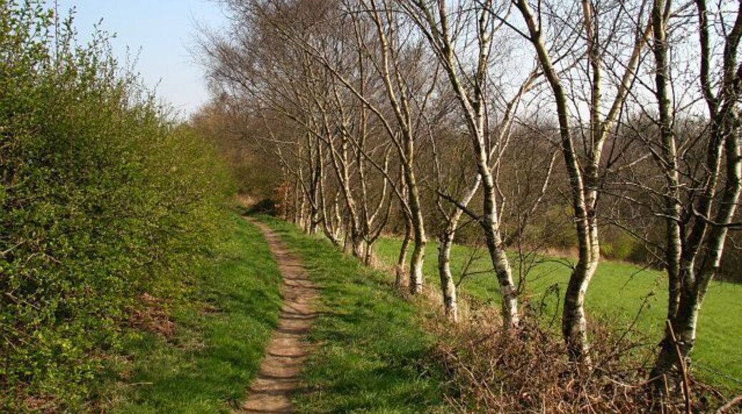Footpath The photograph shows a footpath that connects Pilsley (easterly, ahead) with the A61 the near Stretton (westerly, behind the viewpoint). The woodland in the distance is part of the northern edge of Padley Wood. For a more easterly (ahead) photograph of the footpath, click here 385967. For a more westerly (behind the viewpoint) photograph of the footpath, click here 386460. (Note. The OS Map places the footpath outside Padley Wood, whereas it actually runs along its edge and therefore should be more southerly than actually shown.)