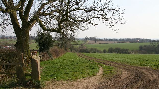 Footpath The photograph shows a footpath running along a field boundary toward 332535, Pilsley. Branching off the footpath are others leading toward 320676, 328493, Morton and toward the A61 the near Stretton. Behind the viewpoint the footpath leads toward Hallgate Lane, Pilsley. For a more southerly (ahead) photograph of the footpath but looking back, toward this viewpoint, click here 330247. For a more northerly (behind the viewpoint) photograph of the footpath, click here 386950.