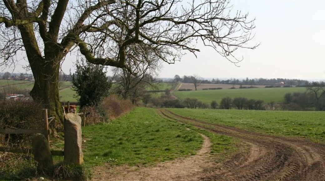 Footpath The photograph shows a footpath running along a field boundary toward 332535, Pilsley. Branching off the footpath are others leading toward 320676, 328493, Morton and toward the A61 the near Stretton. Behind the viewpoint the footpath leads toward Hallgate Lane, Pilsley. For a more southerly (ahead) photograph of the footpath but looking back, toward this viewpoint, click here 330247. For a more northerly (behind the viewpoint) photograph of the footpath, click here 386950.