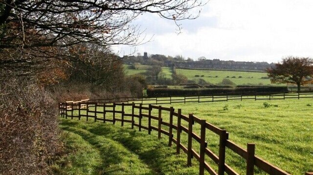 Public footpath. This south-easterly facing photograph is of a public footpath that connects 635733, Tibshelf (ahead) with 338154, Pilsley (behind the viewpoint). The photograph was taken from a stile constructed of rails from a narrow gauge mineral railway line and is a legacy of the areas mining past. In the distance is the tower of St John the Baptist Church, Tibshelf. For a photograph of the footpath, taken from the same viewpoint but facing the opposite (north-westerly) direction, click here 644483. For a photograph taken from a few metres ahead and looking back toward this viewpoint, click here 644508. For a more south-easterly (ahead) photograph of the footpath, click here 642731. For a more north-westerly (behind the viewpoint) photograph of the footpath, click here 652499.