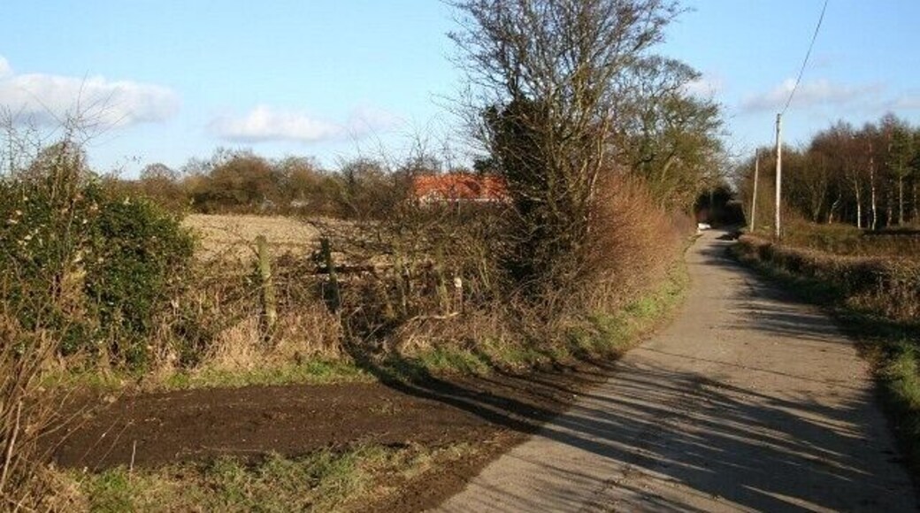 Padley Wood Lane The photograph shows Padley Wood Lane at a point where it is joined by a 333586 from the north (toward Pilsley). The view is toward the lanes junction with 332458. A few metres along the lane from this point there is this 333635. To see another photograph of the lane taken from a few metres forward but looking in the opposite direction, click here 333601. For a more easterly (ahead) photograph of Padley Wood Lane, click here 332535. For a more westerly (behind the viewpoint) photograph of Padley Wood Lane, click here 387825. See also this photograph by Alan Heardman, which was taken from a more easterly viewpoint and is looking back in this direction, 601454.