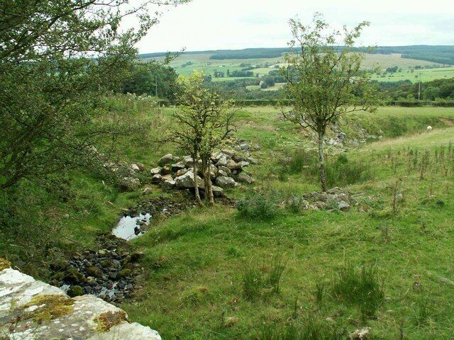 Sike in field at Nookgate