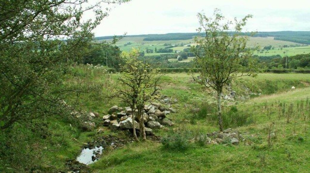 Sike in field at Nookgate