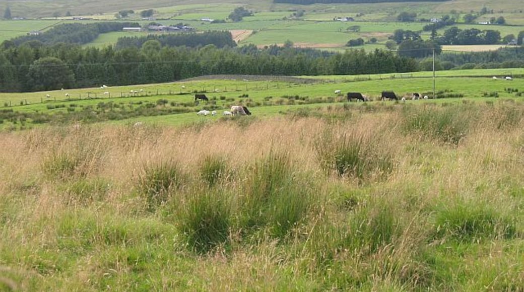 View over Liddesdale Damp ground on the English side of Liddesdale.