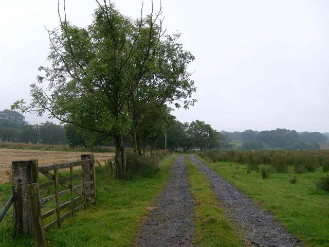 Public bridleway to Catlowdy