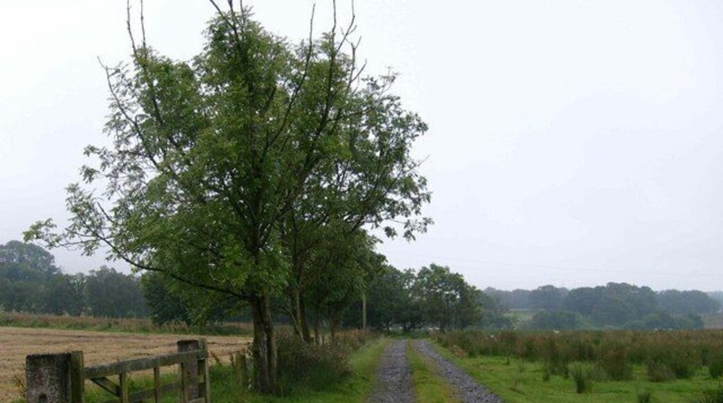Public bridleway to Catlowdy