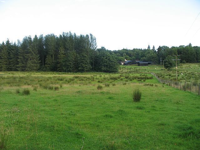 Damp farmland, Kingfield Wet ground with rushes.