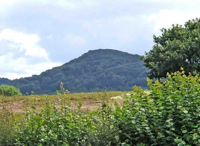 Hilly countryside south east of Snead Common This hilly countryside can be seen from over the top of the hedge of the Bell Inn at Pensax's car park.