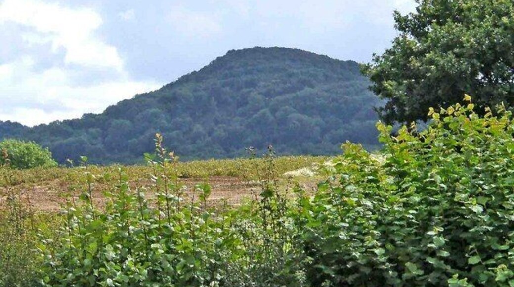 Hilly countryside south east of Snead Common This hilly countryside can be seen from over the top of the hedge of the Bell Inn at Pensax's car park.