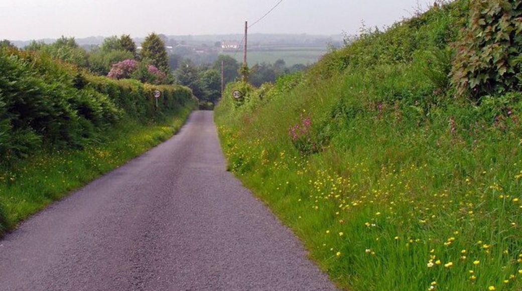 Lane approaching Pennant