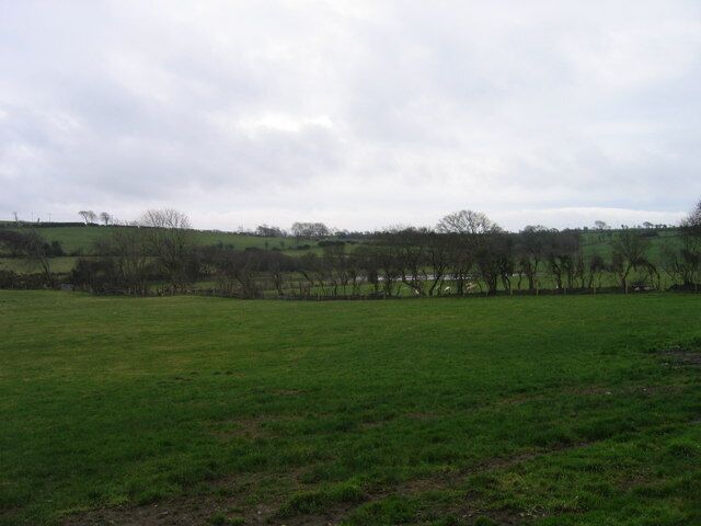 Fferm Gorsowen / Gorsowen Farm Tir amethyddol a chorstir / Farmland and bog