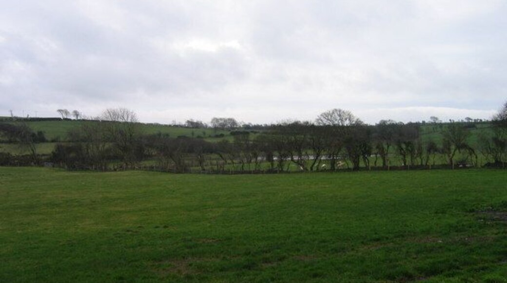 Fferm Gorsowen / Gorsowen Farm Tir amethyddol a chorstir / Farmland and bog