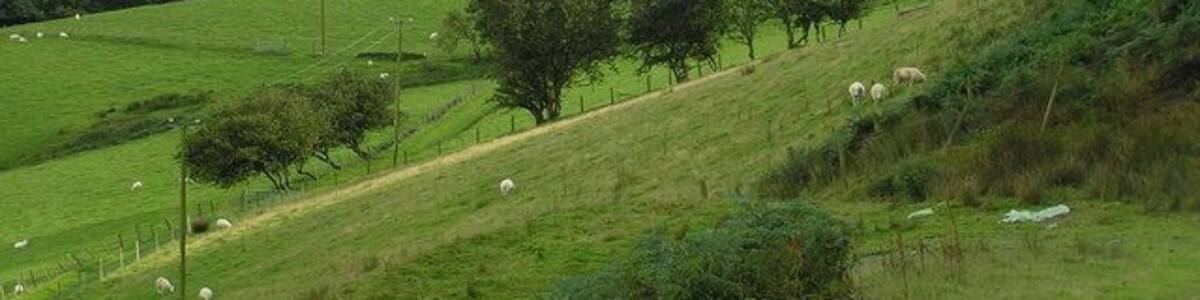 Cwmffernol farm view Looking south above Cwmffernol farm cottage