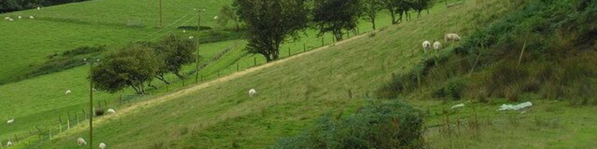 Cwmffernol farm view Looking south above Cwmffernol farm cottage