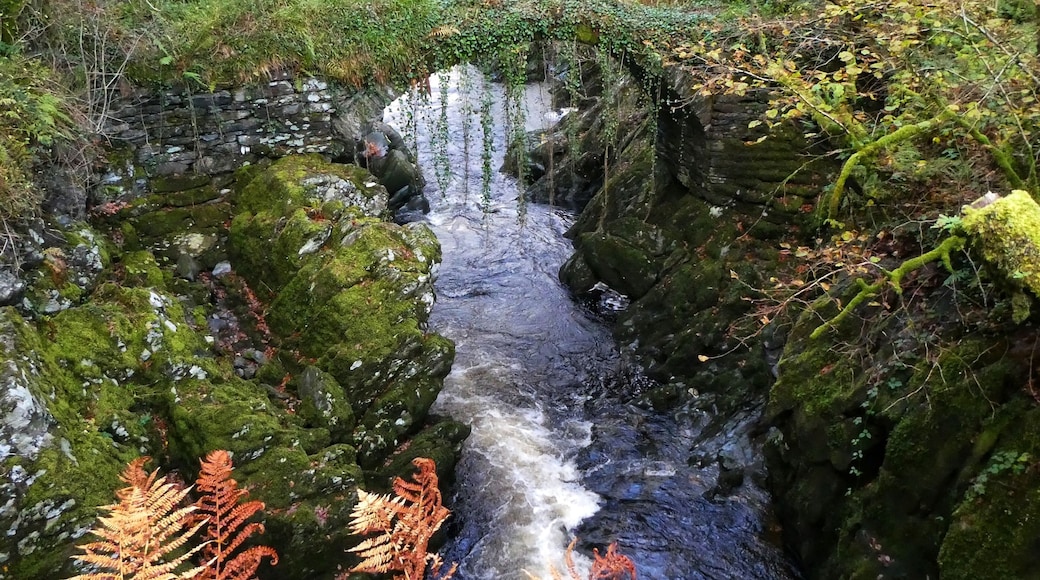 The Roman Bridge in Penmachno nr. Betws y Coed Snowdonia ❤️