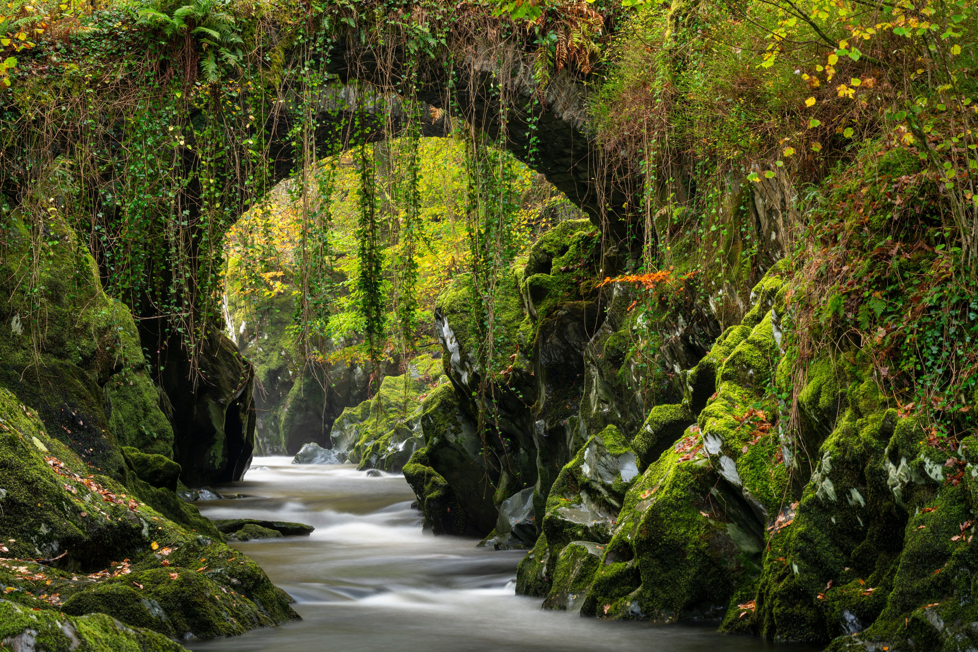 A forested area with a moss-covered archway and a flowing stream.
