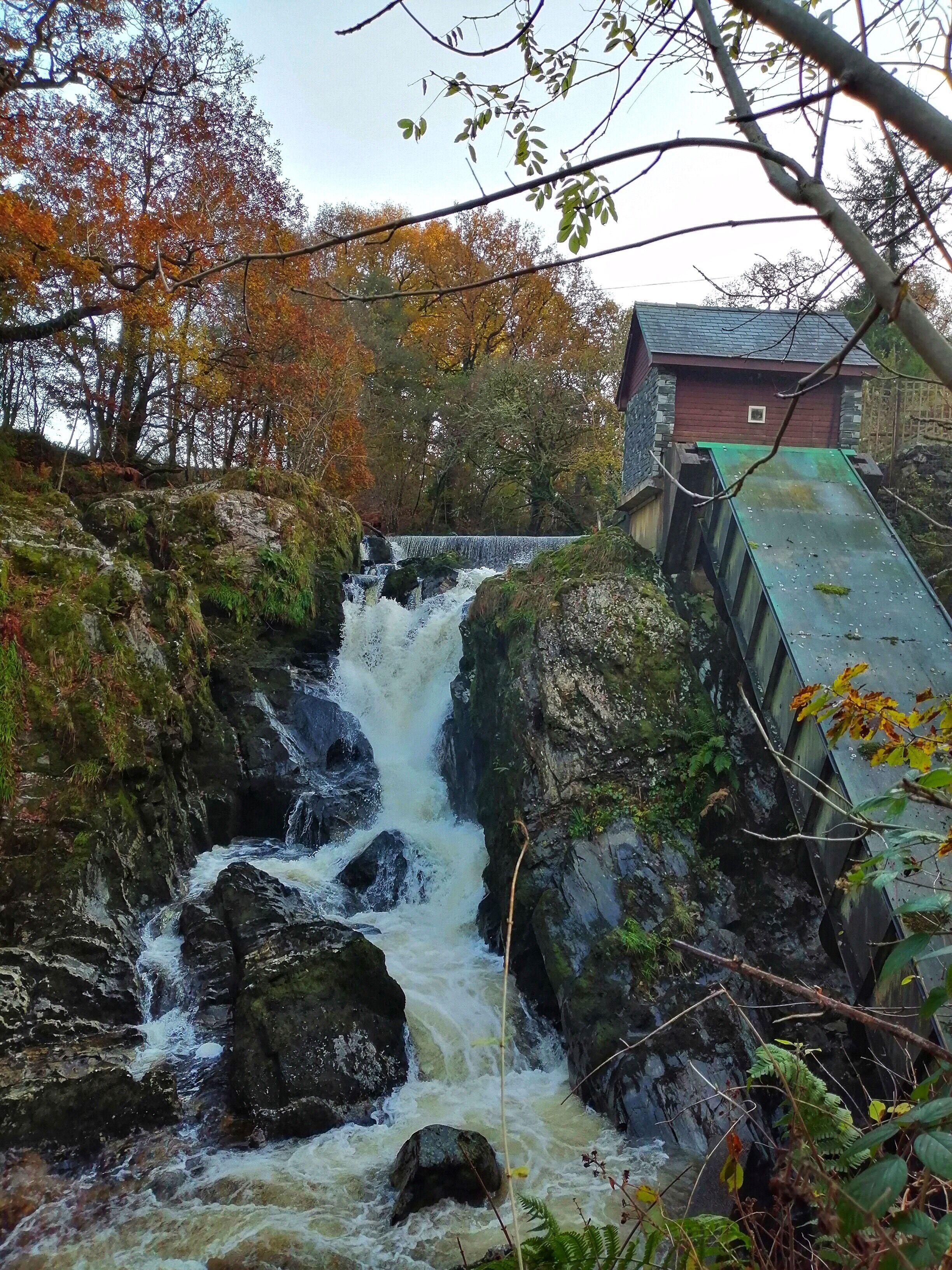 Machno Falls nr. Penmachno Betws y Coed, Snowdonia