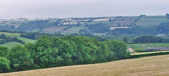 Woodland with homes beyond