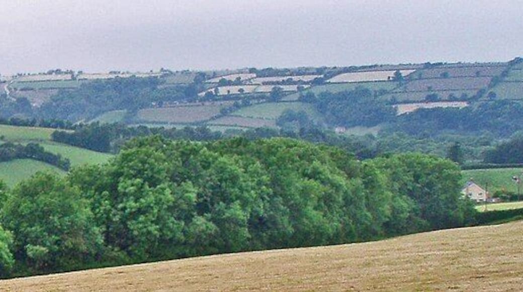 Woodland with homes beyond