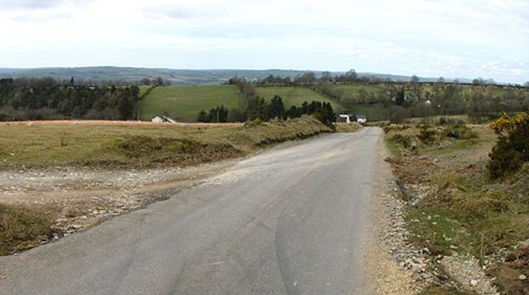 Road Stretch of road and the entrance to Nant-yr-hendre and Tynewydd.
