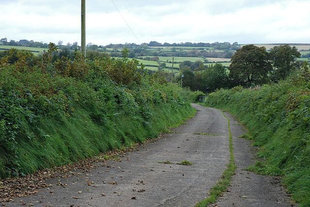 Track to Cornel farm. Very solidly surfaced, unlike the usual dirt track.