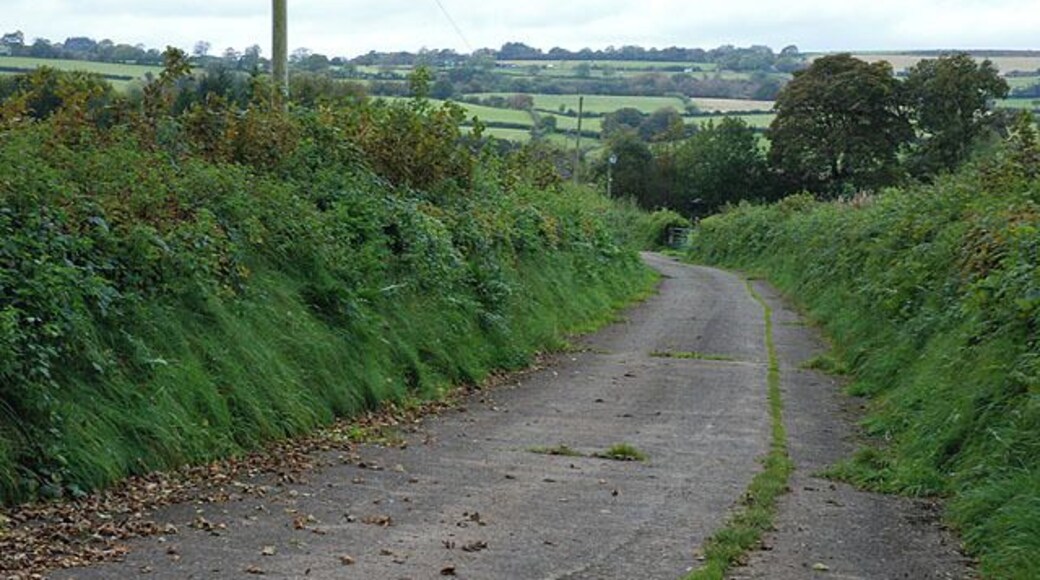 Track to Cornel farm. Very solidly surfaced, unlike the usual dirt track.