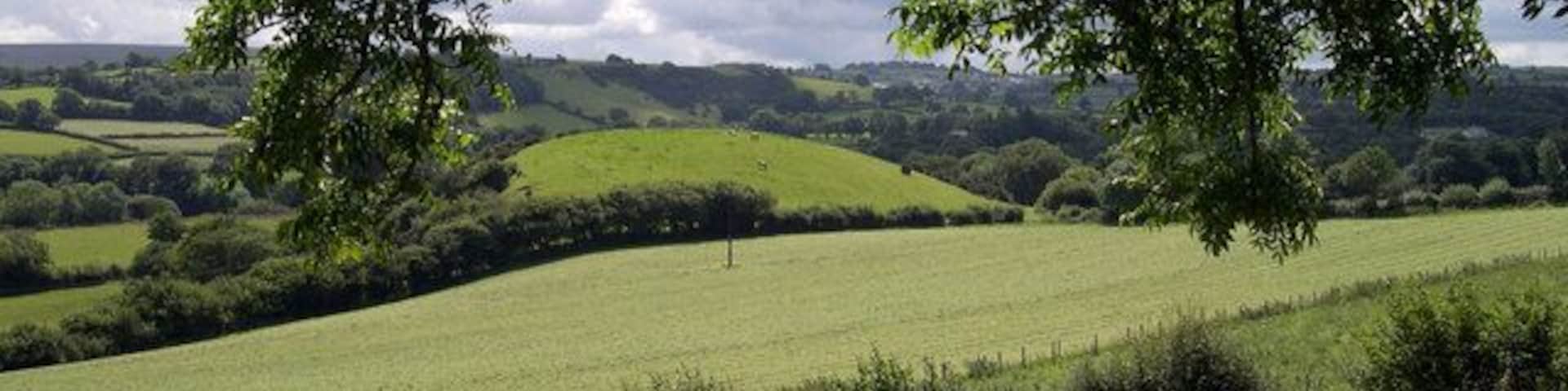 Colinas verdes e onduladas, uma cerca e árvores numa paisagem rural.