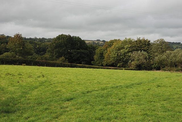Field near Dolau-duon Typical of those on the floor of the Teifi valley here.