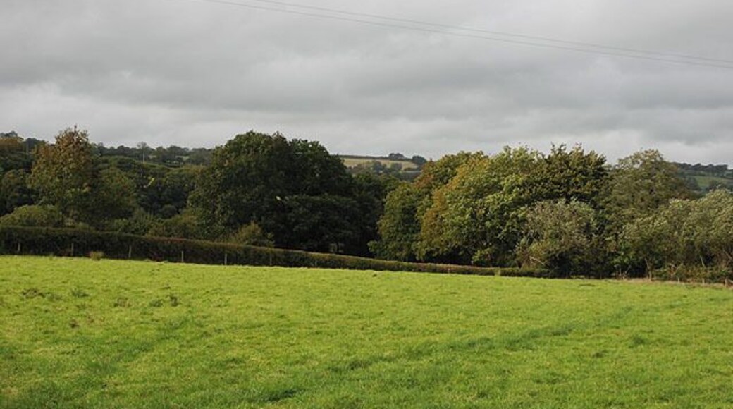 Field near Dolau-duon Typical of those on the floor of the Teifi valley here.