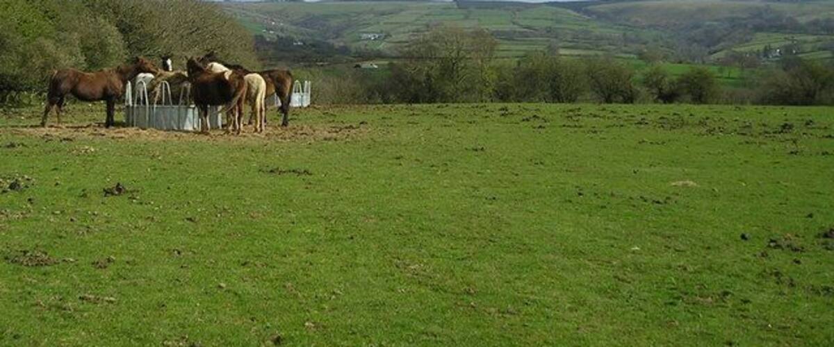 Un campo cubierto de pasto con caballos cerca de una valla y un paisaje montañoso al fondo.