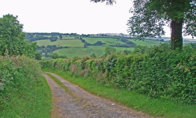 Looking down a track from the main road