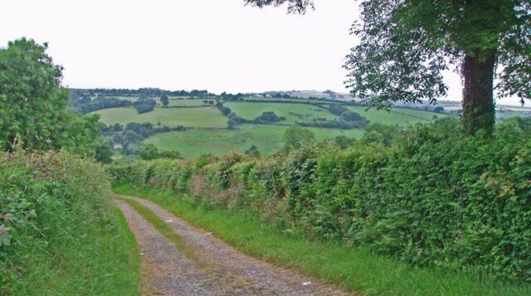 Looking down a track from the main road