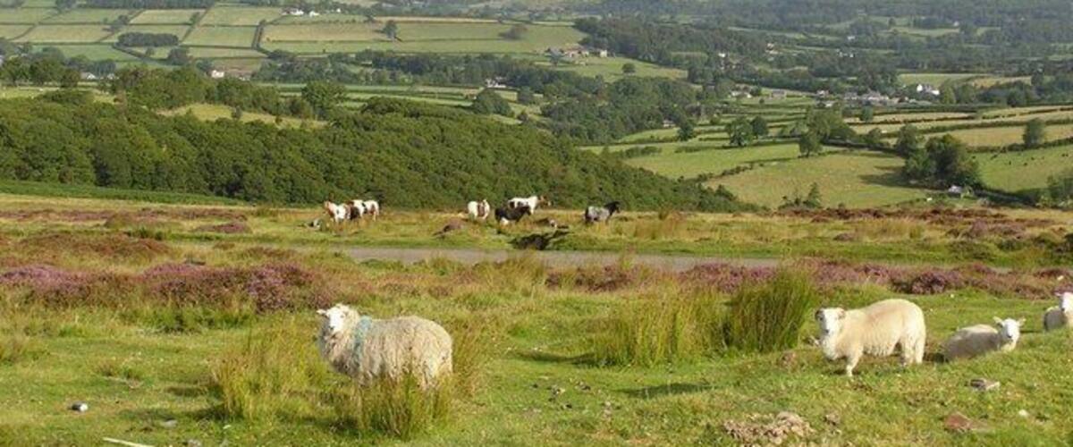 Mynydd Llanllwni Llanllwni mountain towards Maesycrugiau