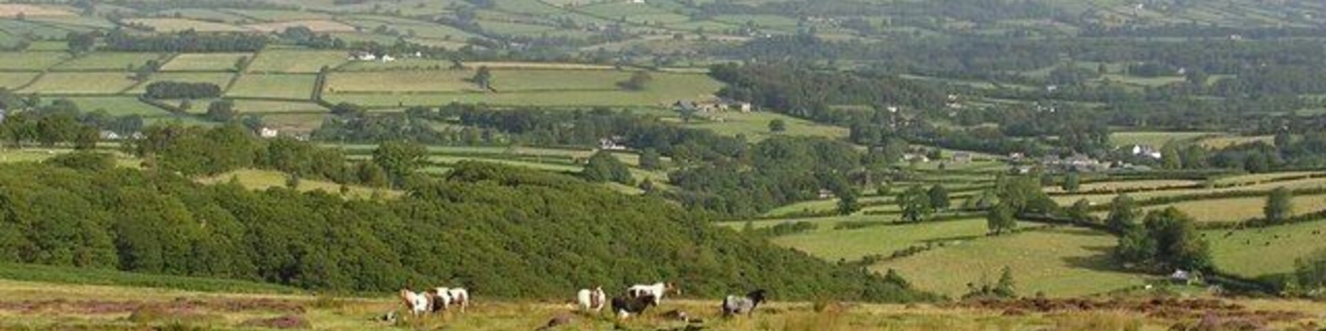 Mynydd Llanllwni Llanllwni mountain towards Maesycrugiau