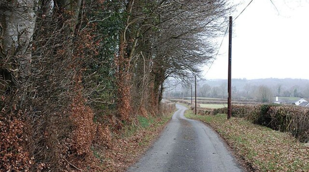 Minor road west of the Nant Ceilog. See also 1191942.