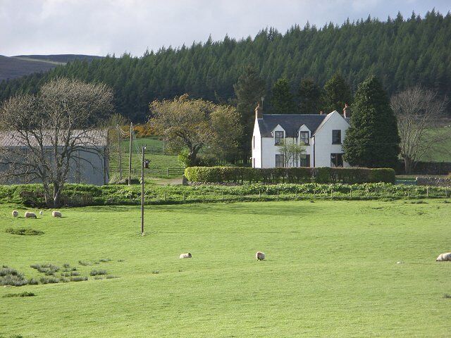 Nether Balgray Sheep grazing in a landscape of mixed woods and farmland.