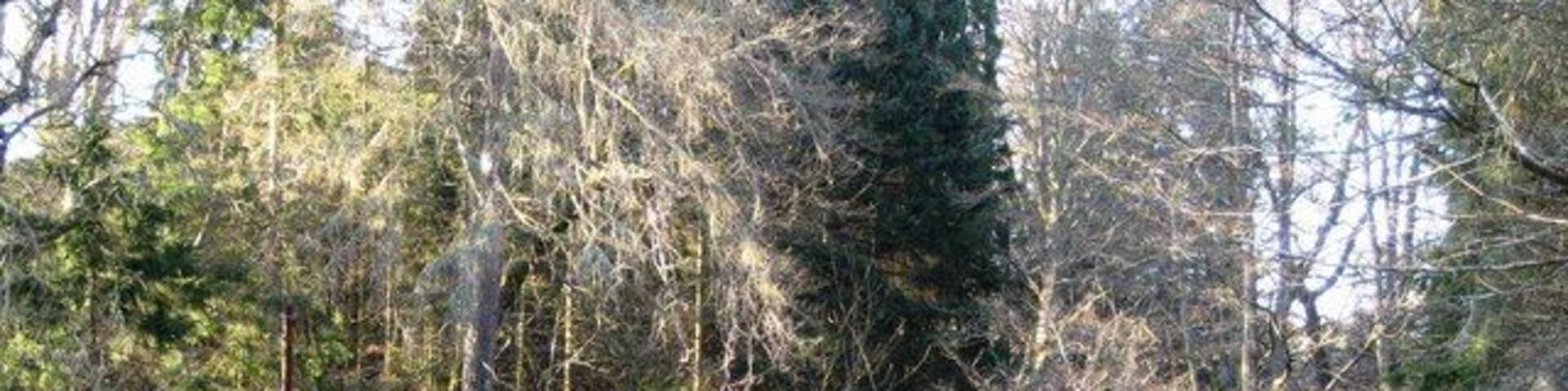 Crossroads at Pearsie Junction on two of the many small roads at the foot of Glen Prosen and Glen Clova. An 'old style' red phone box stands at one corner.