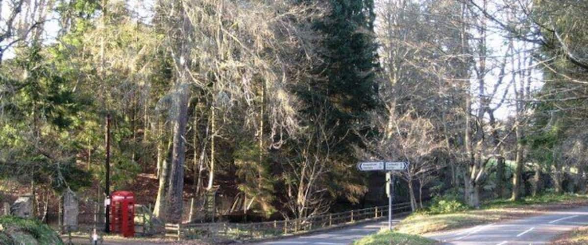 A rural road with a directional sign, a red telephone booth, and a forested area.