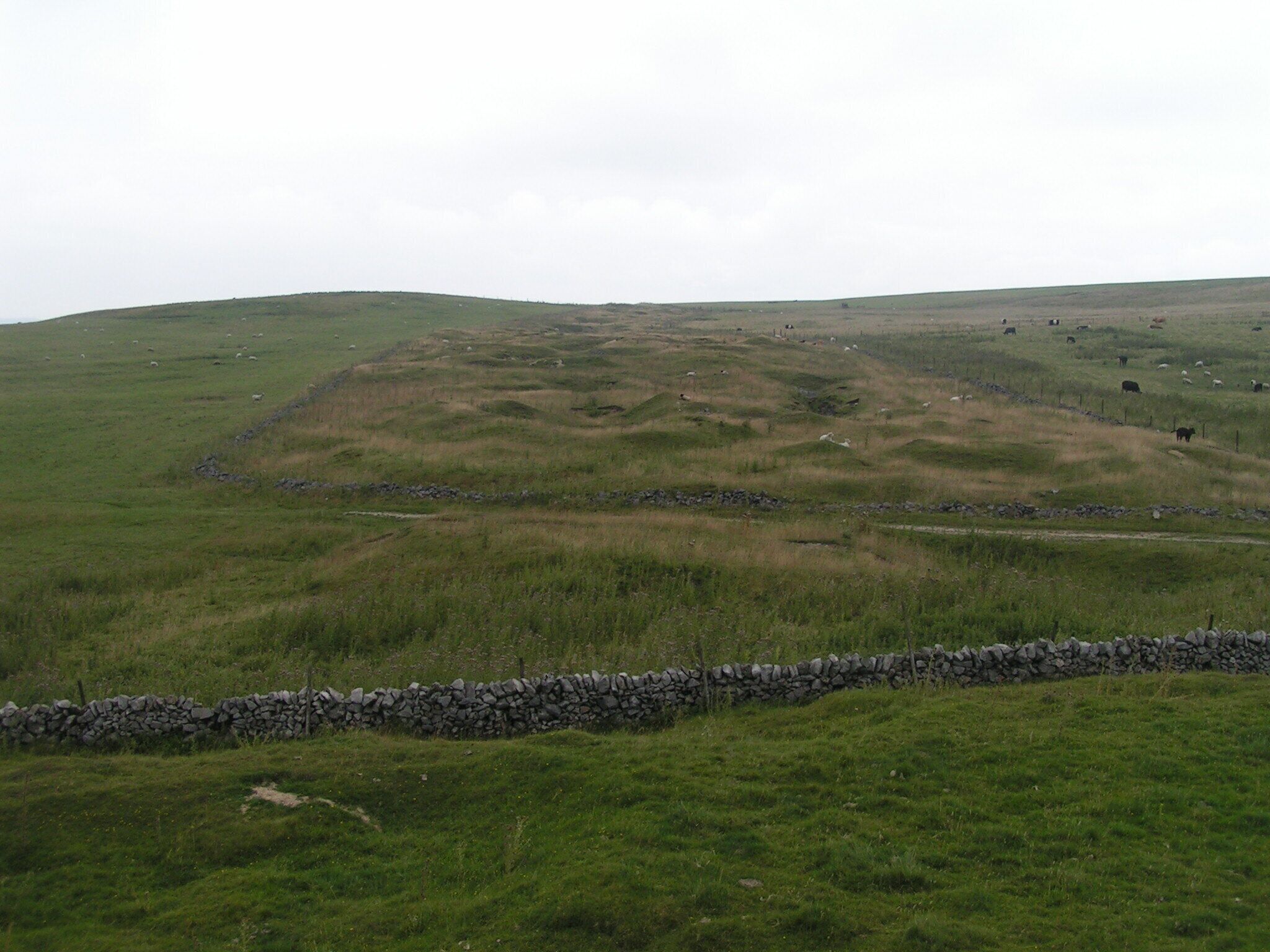 Old Moor Mine. Like many others in this area, Old Moor Mine follows a "rake" - a linear vein of metal ore.