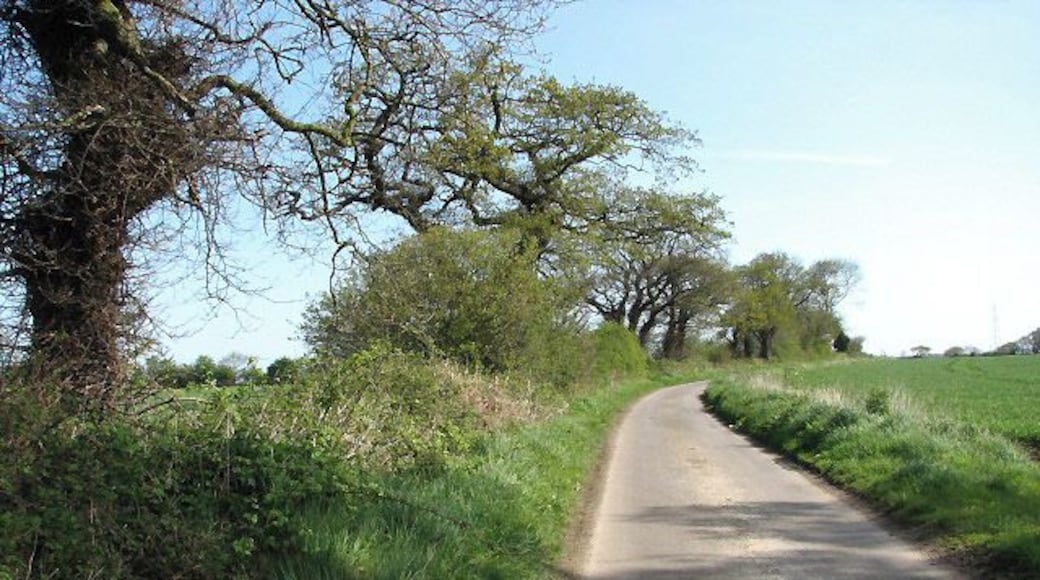 Dead Man's Grave Dead Man's Grave is an ancient Norfolk place name, the explanation of which I've as yet to find.