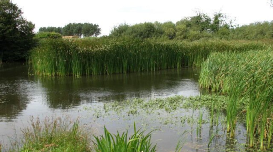 Pond near Bears Road