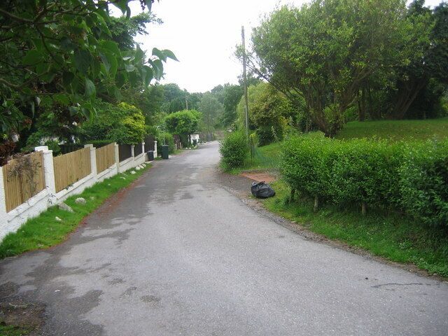 Estreta estrada rural ladeada por vegetação exuberante e uma cerca branca.