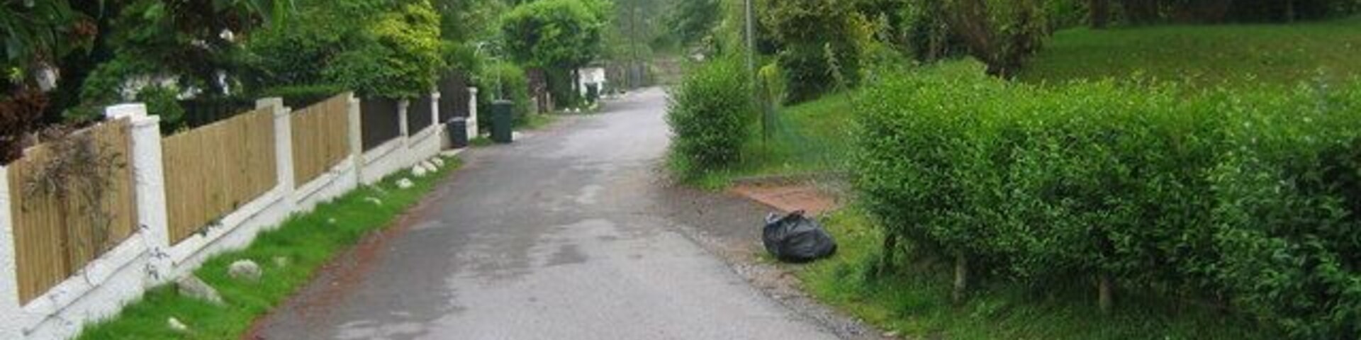Estreta estrada rural ladeada por vegetação exuberante e uma cerca branca.