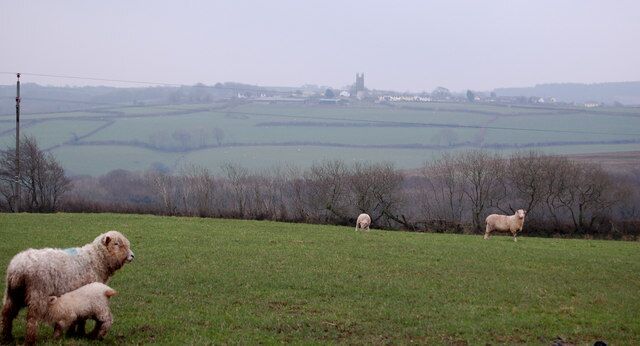 Looking towards Parkham from Horns Cross Looking towards Parkham from Horns Cross - Goldworthy road - this is sheep country!