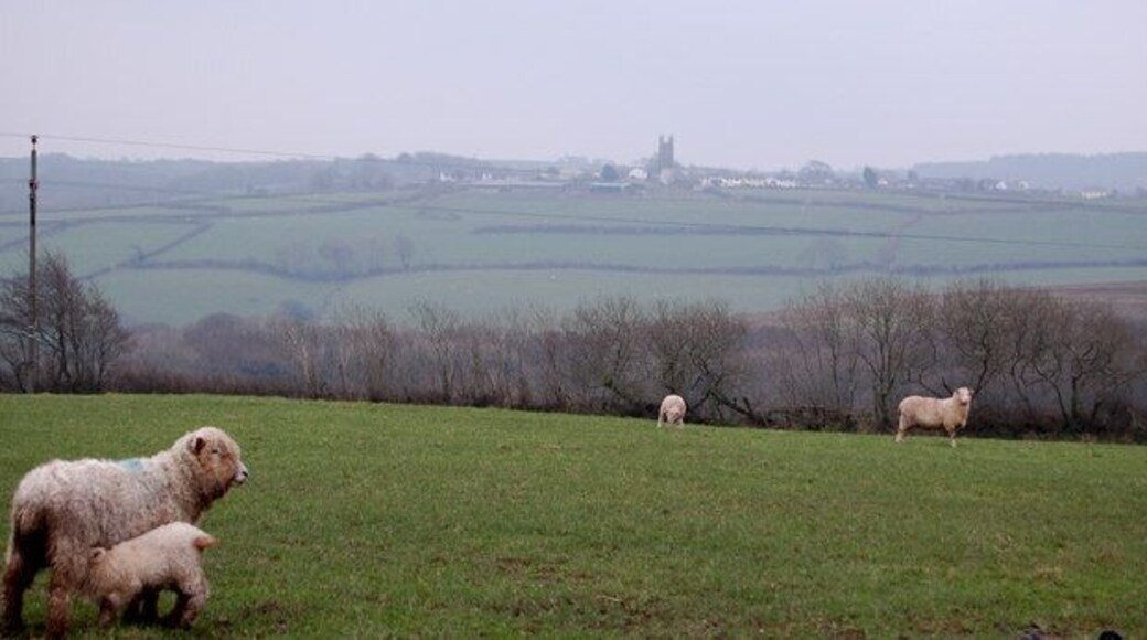 Looking towards Parkham from Horns Cross Looking towards Parkham from Horns Cross - Goldworthy road - this is sheep country!