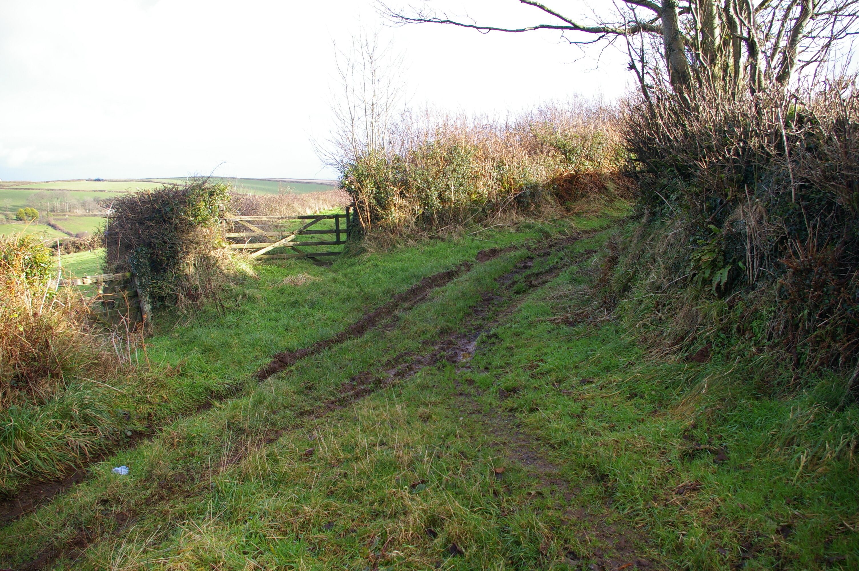 Junction of lanes Looking along the lane from Lower Waytown, the lane on the left goes down towards the A39, while on the right it goes on to Broad Parkham.