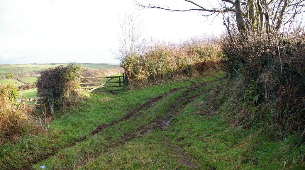 Junction of lanes Looking along the lane from Lower Waytown, the lane on the left goes down towards the A39, while on the right it goes on to Broad Parkham.