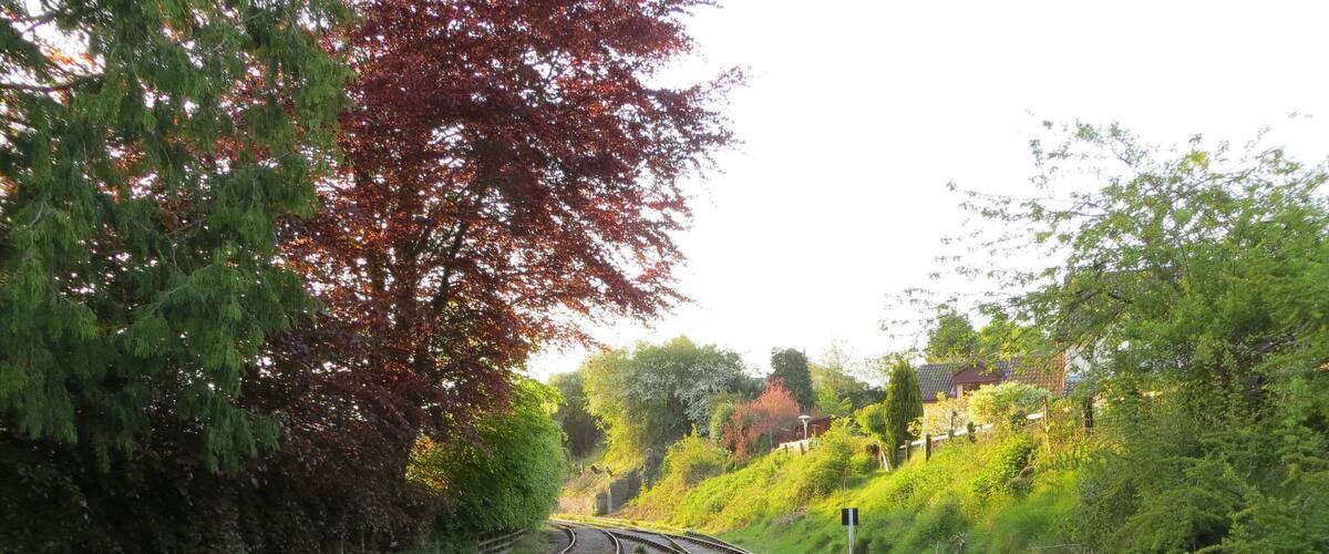 Tracks to Lydbrook and Cinderford - May 2012